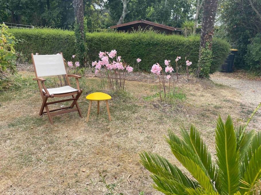 Ty France Holiday home